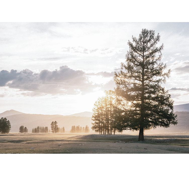 Fotomural naturaleza Campo frío con un árbol en el centro - TenVinilo