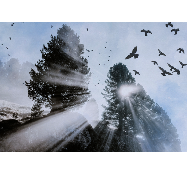 Mural de bosque rayos de sol radiantes con pájaros - TenVinilo