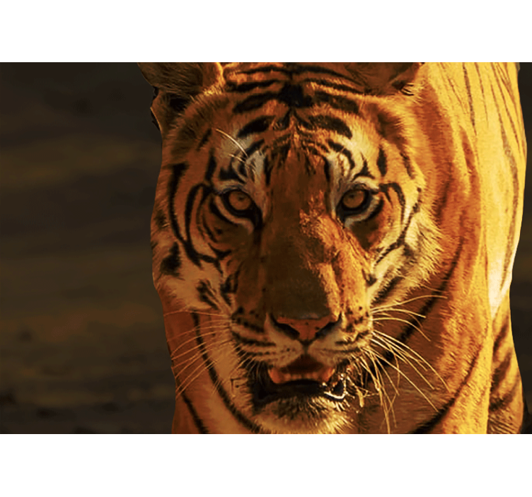 Fotomural animale Tigre amenazador y enojado - TenVinilo