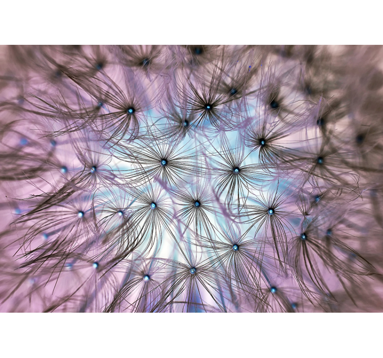 Mural de fantasía delirio del diente de león - TenVinilo