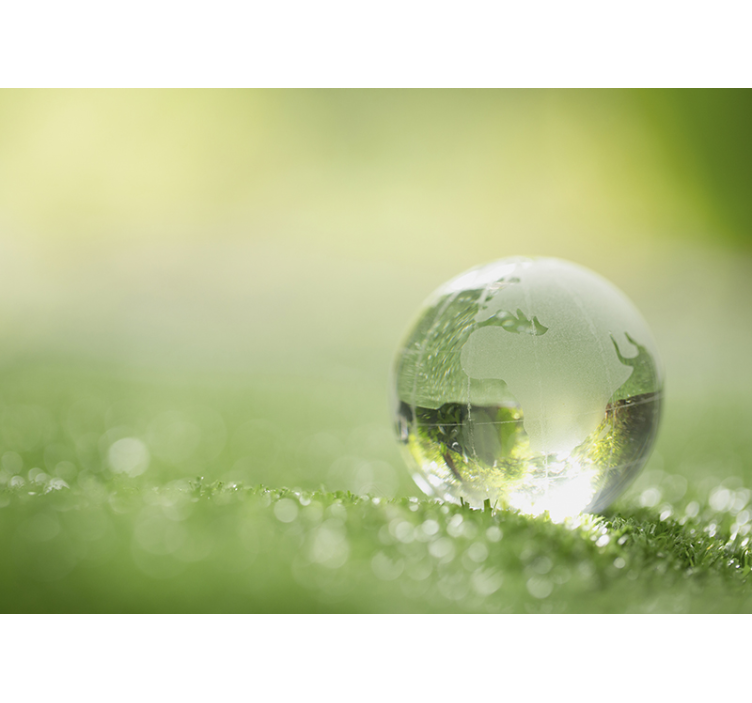 Mural de naturaleza globo sobre hierba - TenVinilo