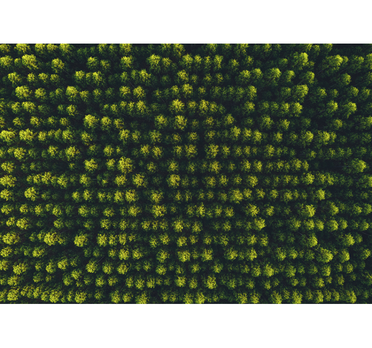 Mural de naturaleza follaje verde espléndido - TenVinilo