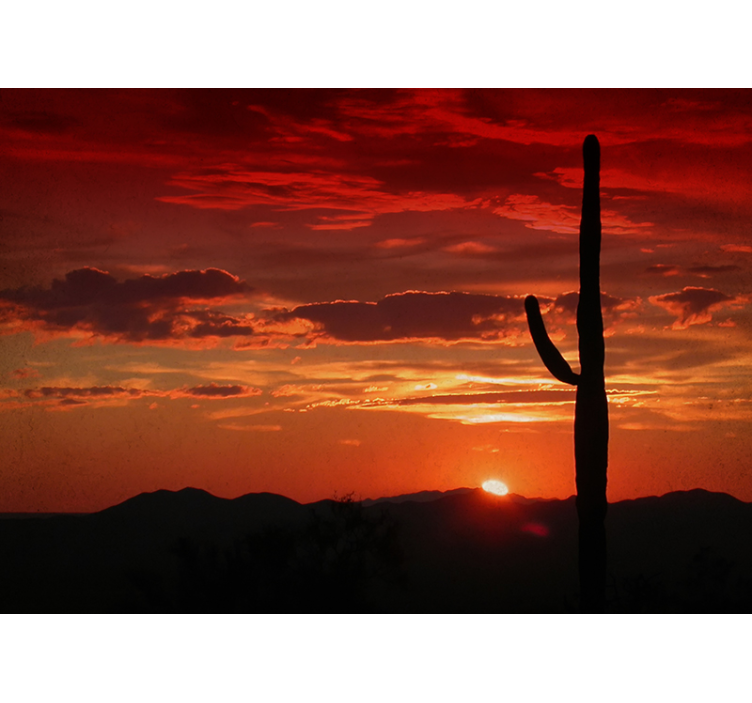 Mural de naturaleza sombra del atardecer de cactus - TenVinilo
