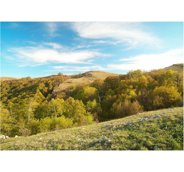 Mural de paisajes paisaje de colinas onduladas - TenVinilo