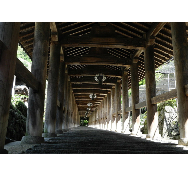 Mural de bosque vista del sendero de madera - TenVinilo
