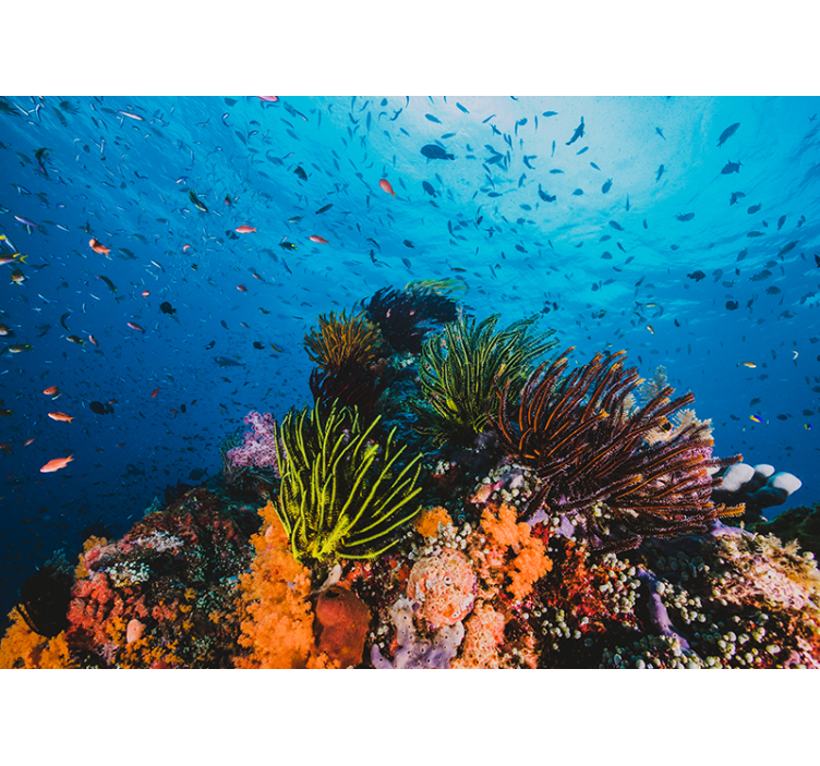 Mural de mar paraíso de corales submarinos - TenVinilo