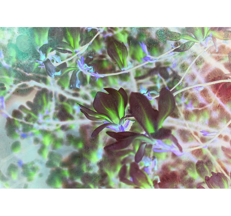 Mural de orquídeas explosión de flores de magnolia - TenVinilo