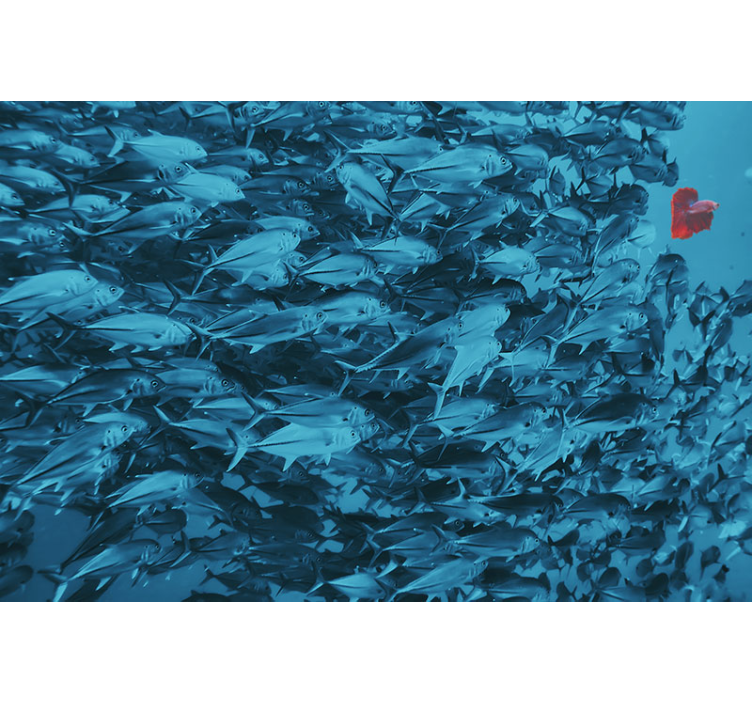 Mural de animales escuela de peces bajo el agua - TenVinilo