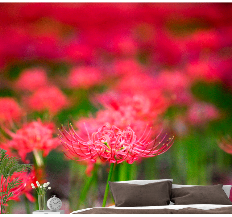 Mural amapolas flores carmesí vivas - TenVinilo