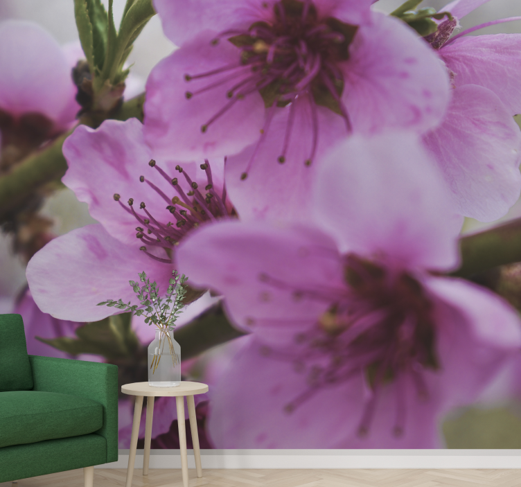 Mural amapolas flores rosadas radiantes - TenVinilo