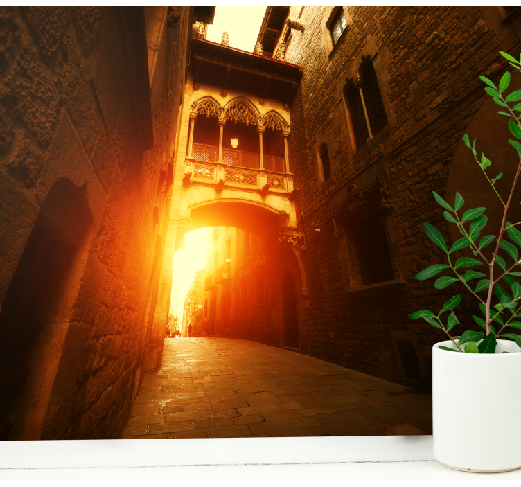 Mural barcelona arco gótico histórico - TenVinilo
