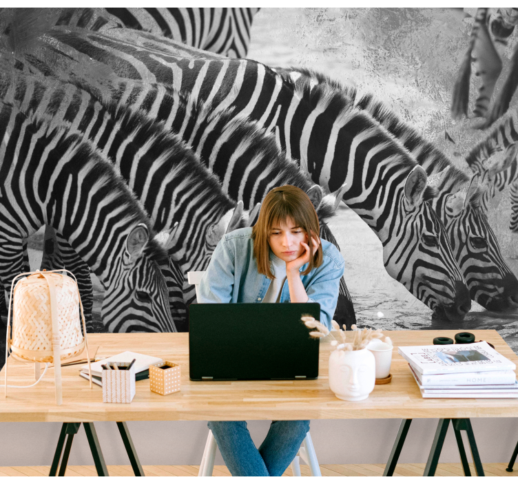 Mural de animales cebras bebiendo agua - TenVinilo