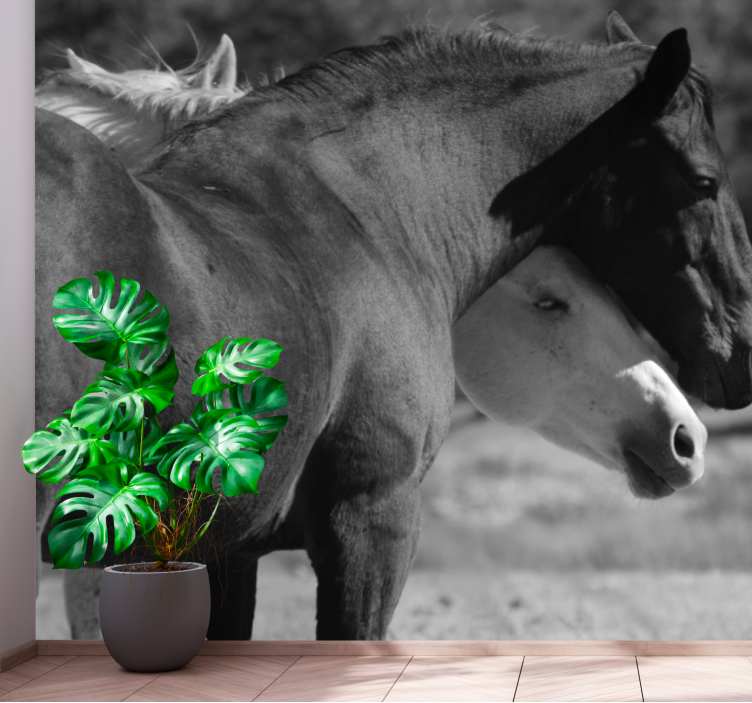 Mural de animales compañerismo equino - TenVinilo