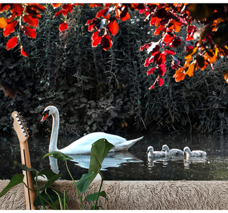 Mural de animales familia de cisnes elegantes - TenVinilo