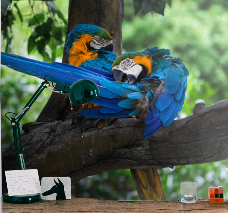 Mural de animales lindo par de guacamayos - TenVinilo