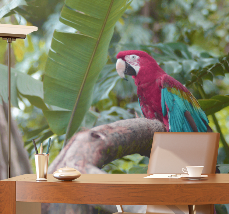 Mural de animales loro guacamayo colorido - TenVinilo