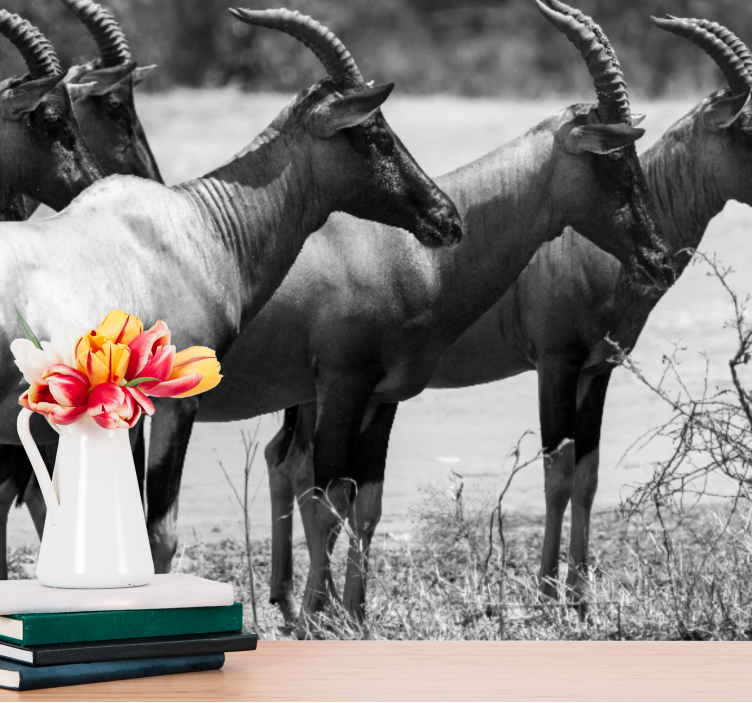 Mural de animales manada de antílopes africanos - TenVinilo