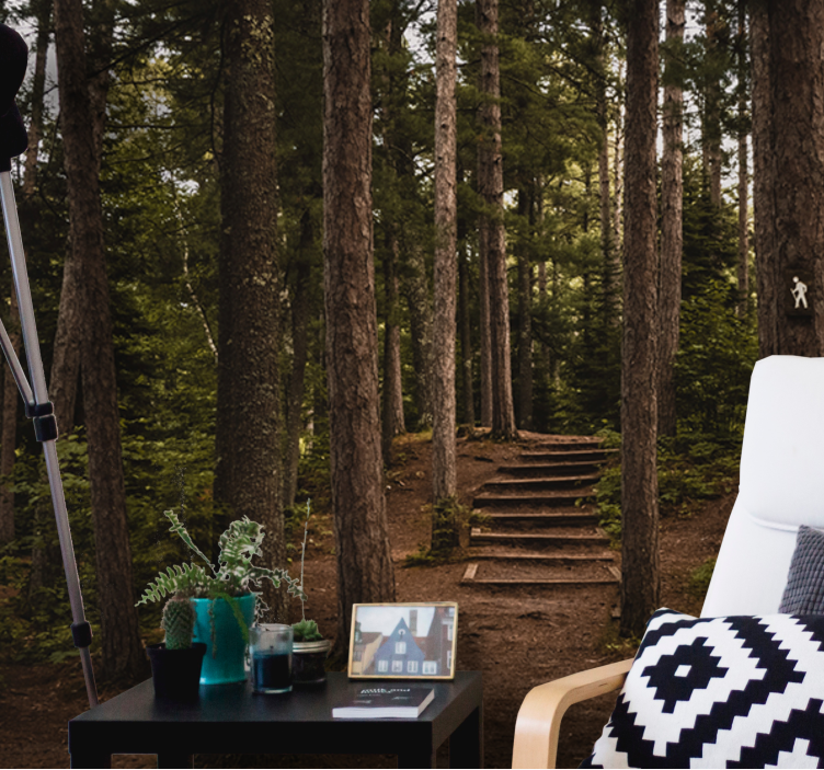 Mural de bosque camino de serenidad - TenVinilo