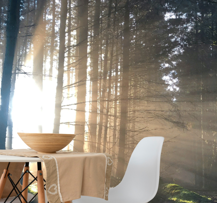 Mural de bosque camino iluminado en el bosque - TenVinilo