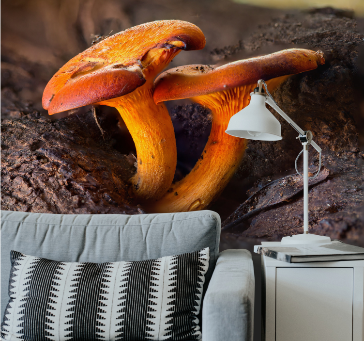 Mural de bosque escena natural de hongos - TenVinilo