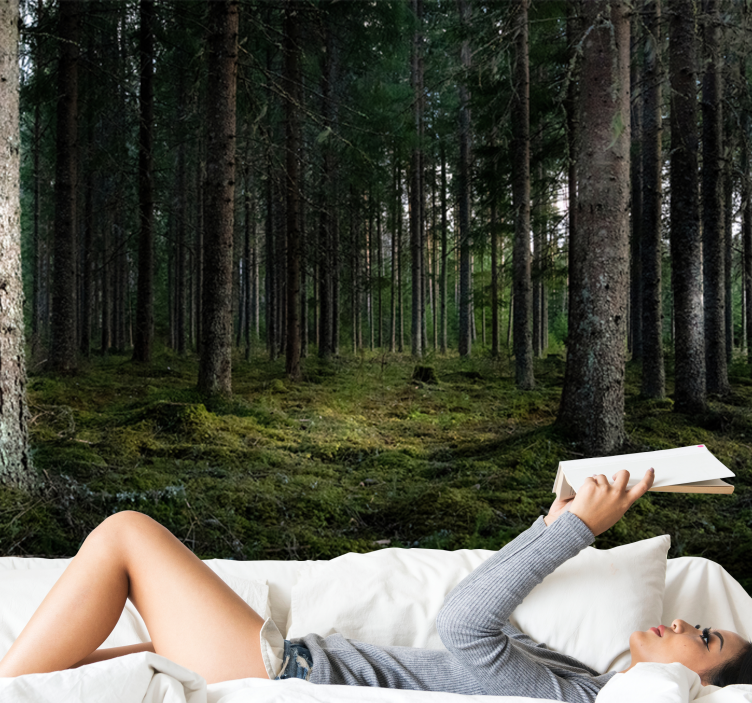 Mural de bosque paisaje sereno - TenVinilo