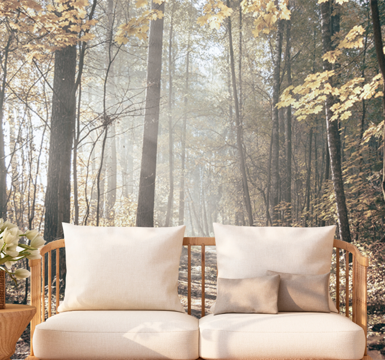 Mural de bosque sendero sereno en otoño - TenVinilo