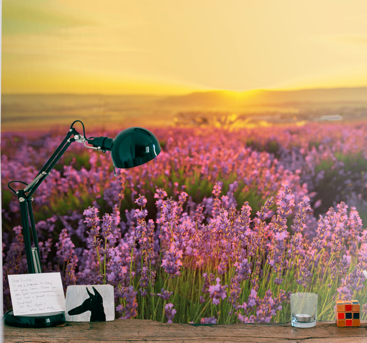 Mural de flores campo de lavanda al anochecer - TenVinilo