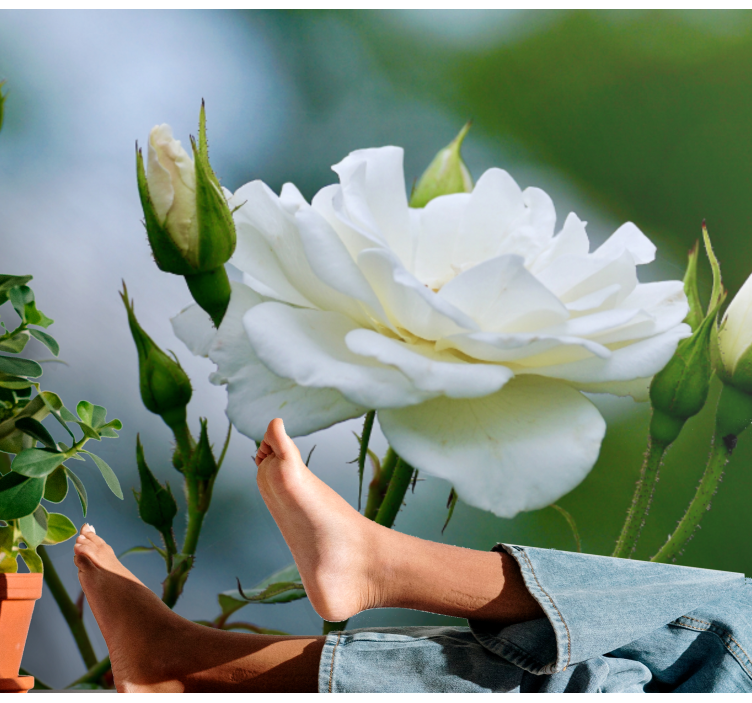 Mural de flores elegante rosa blanca - TenVinilo