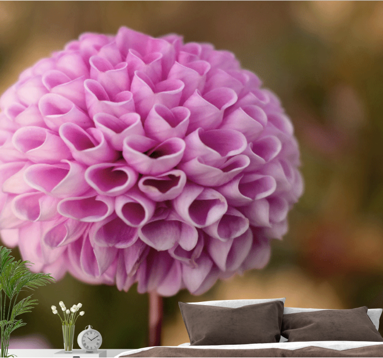 Mural de flores esfera floral rosa - TenVinilo