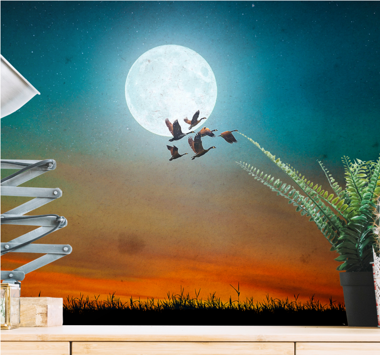 Mural de naturaleza cielo nocturno con aves - TenVinilo
