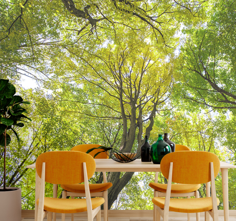 Mural de naturaleza dosel de bosque frondoso - TenVinilo