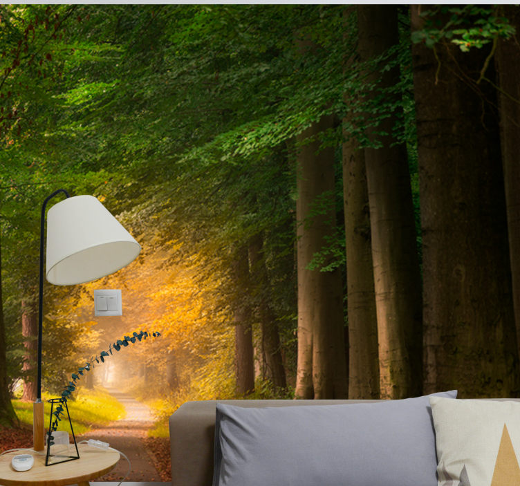 Mural de naturaleza escena de sendero en el bosque - TenVinilo