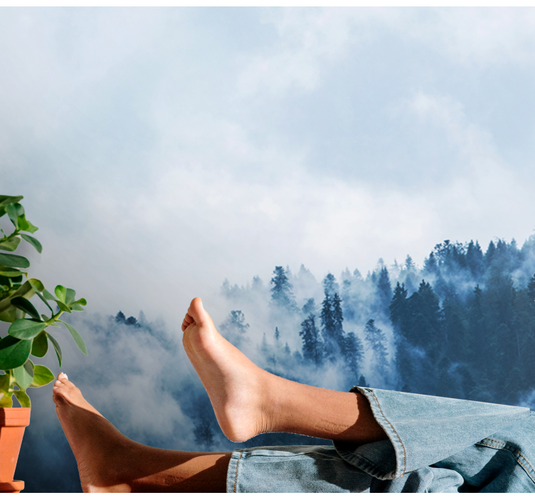 Mural de naturaleza paisaje boscoso nebuloso - TenVinilo