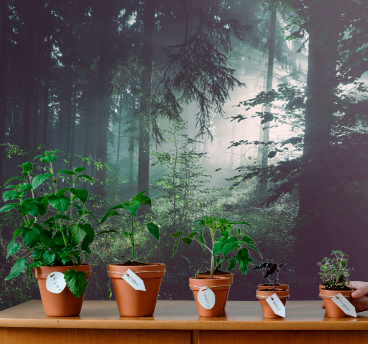 Mural de naturaleza paisaje boscoso verdejante - TenVinilo