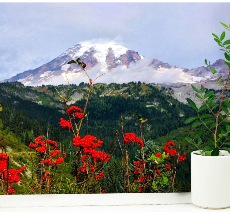 Mural de paisajes montaña nevada - TenVinilo