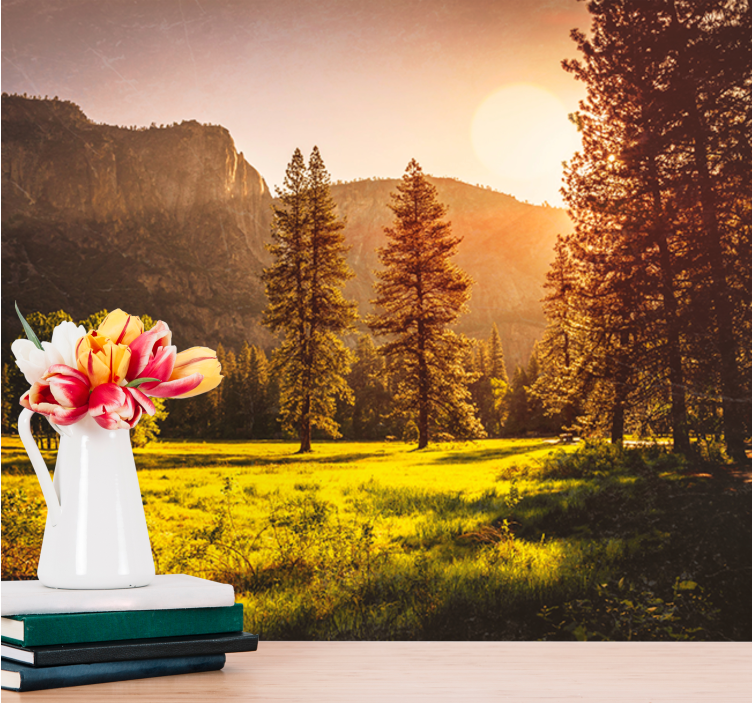 Mural de paisajes sereno atardecer en la montaña - TenVinilo