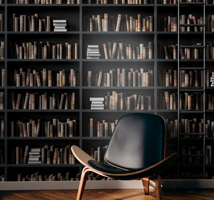 Mural efecto piedra colección de libros biblioteca - TenVinilo