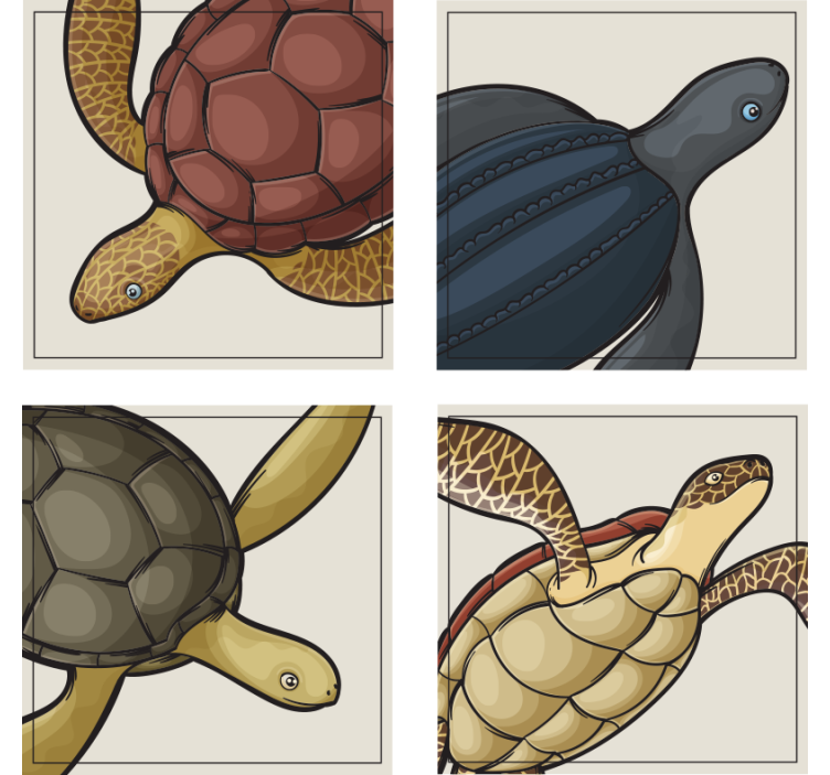 Posavasos frikis ilustraciones de tortugas coloridas - TenVinilo