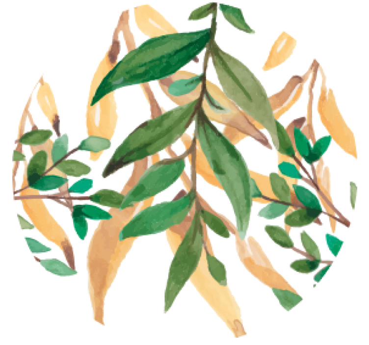 Posavasos cerveza botánico verde hojoso - TenVinilo