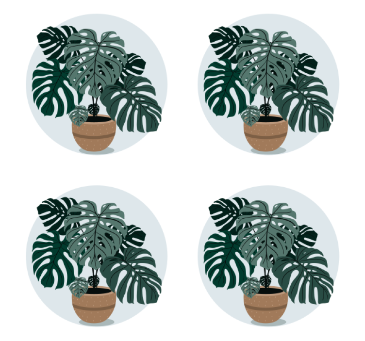 Posavasos moderno ilustración de planta monstera - TenVinilo