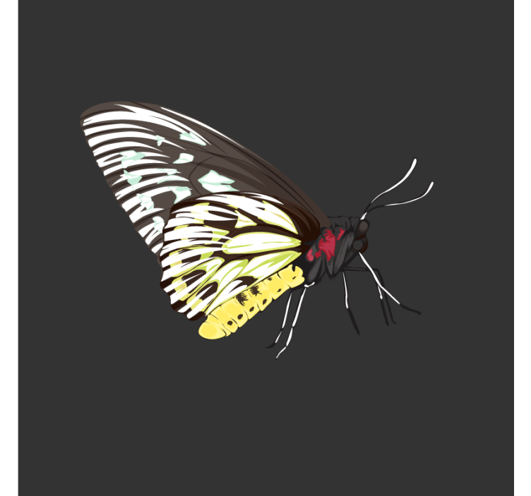 Posavasos frikis arte de mariposas coloridas - TenVinilo