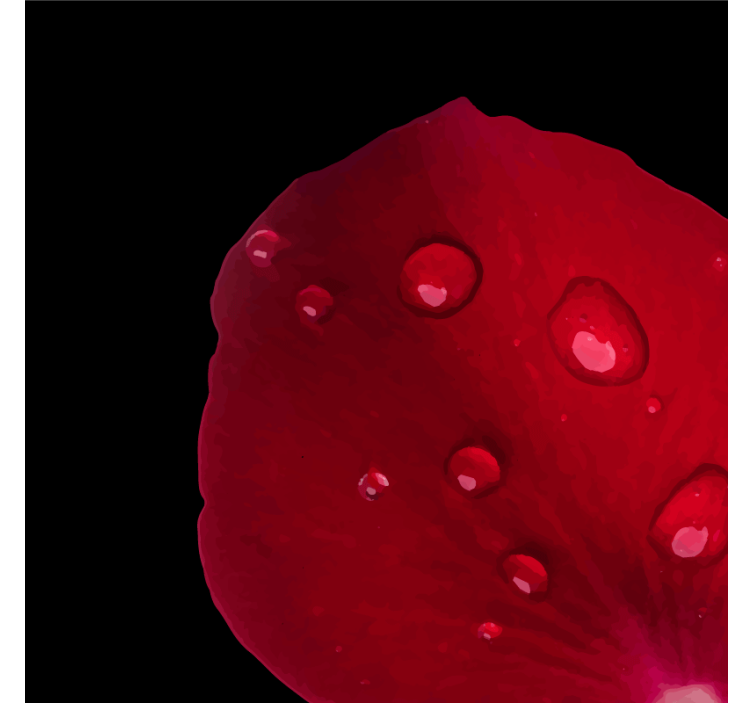 Posavasos pétalo de rosa humedo - TenVinilo