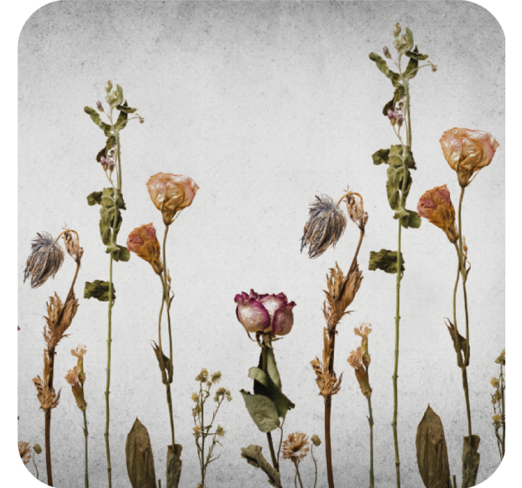 Posavasos arreglo floral seco - TenVinilo