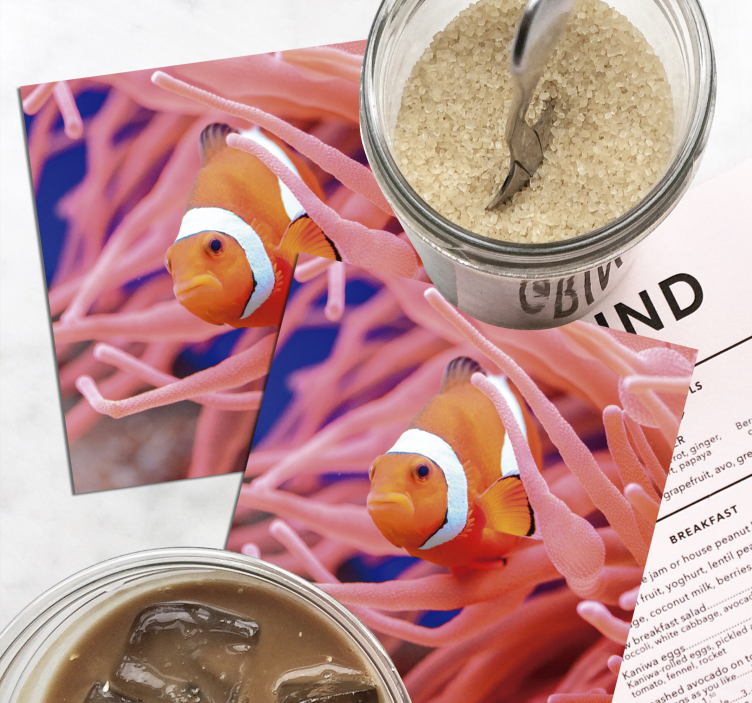 Posavasos original pez payaso en coral - TenVinilo