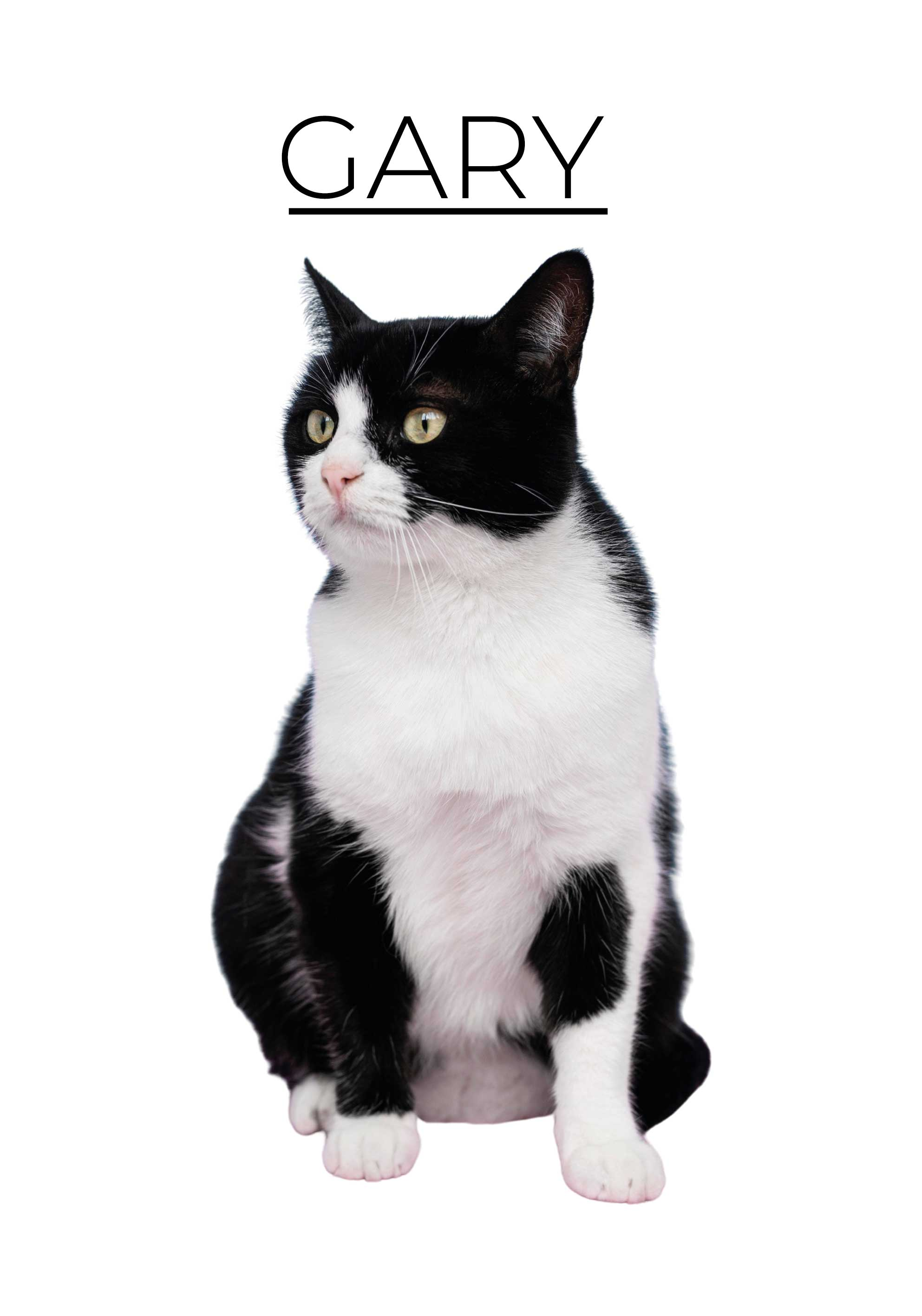 Poster animales minimalista personalizado - TenVinilo