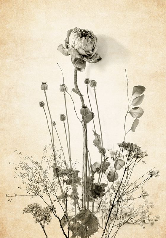 Poster de flores ramo de flores sobre fondo beige - TenVinilo