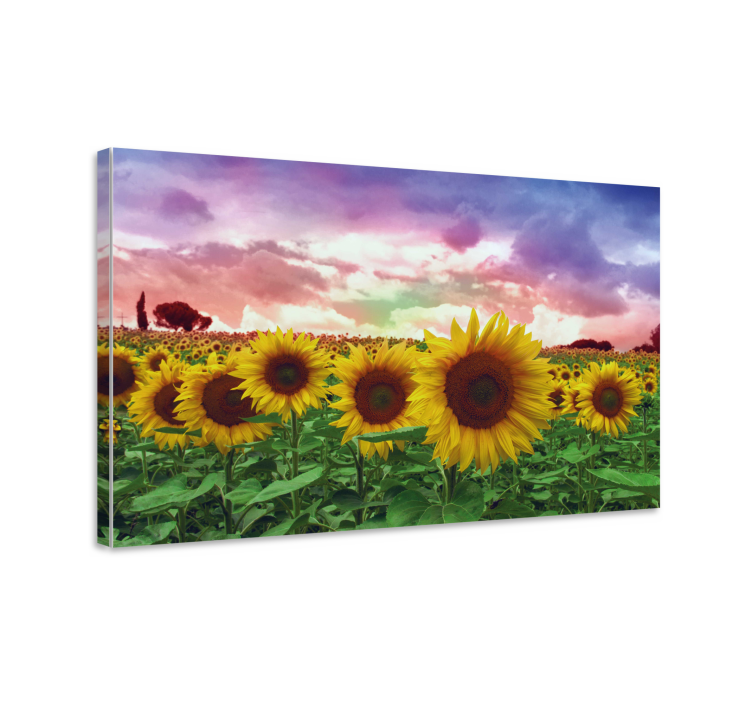Cuadro de flores campo de girasoles vibrante - TenVinilo