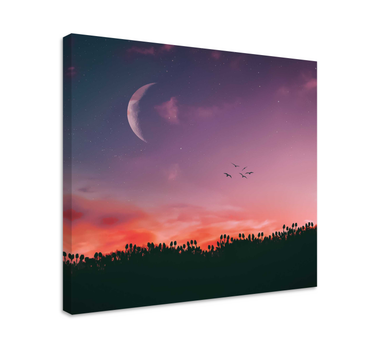 Cuadro paisajes cielo crepuscular iluminado por la luna - TenVinilo