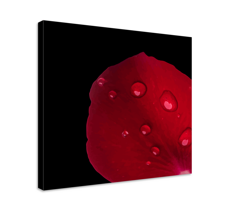 Cuadro de flores detalle de pétalos de rosa - TenVinilo