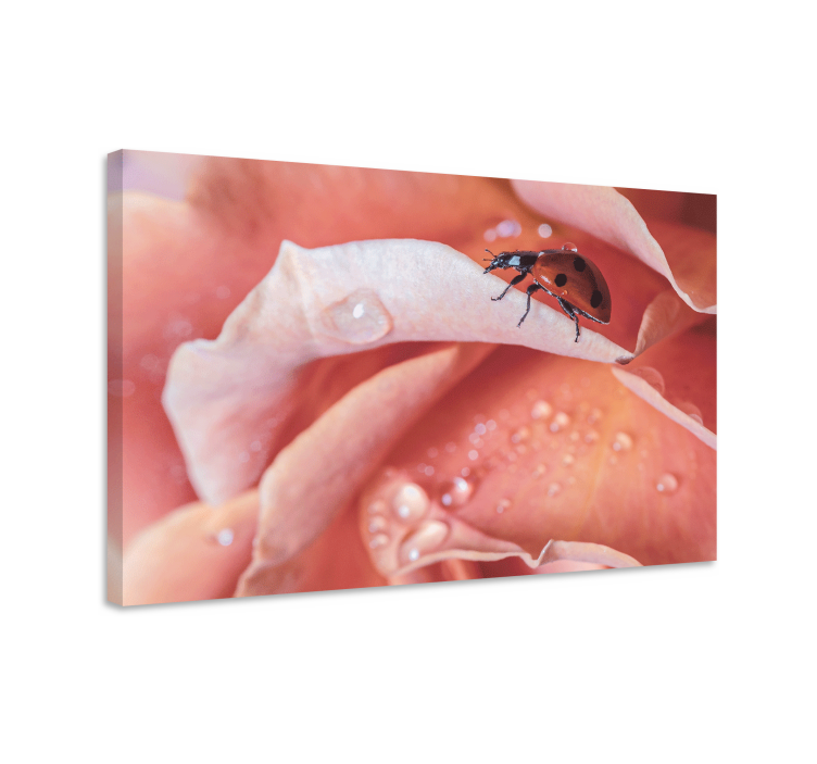 Cuadro de flores mariquita sobre rosa - TenVinilo